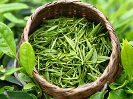 绿茶提取物具有广阔的应用前景